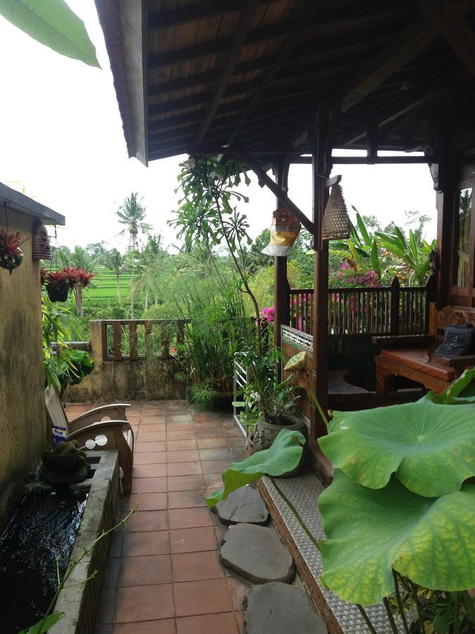 Ogek Home Stay Ubud Extérieur photo