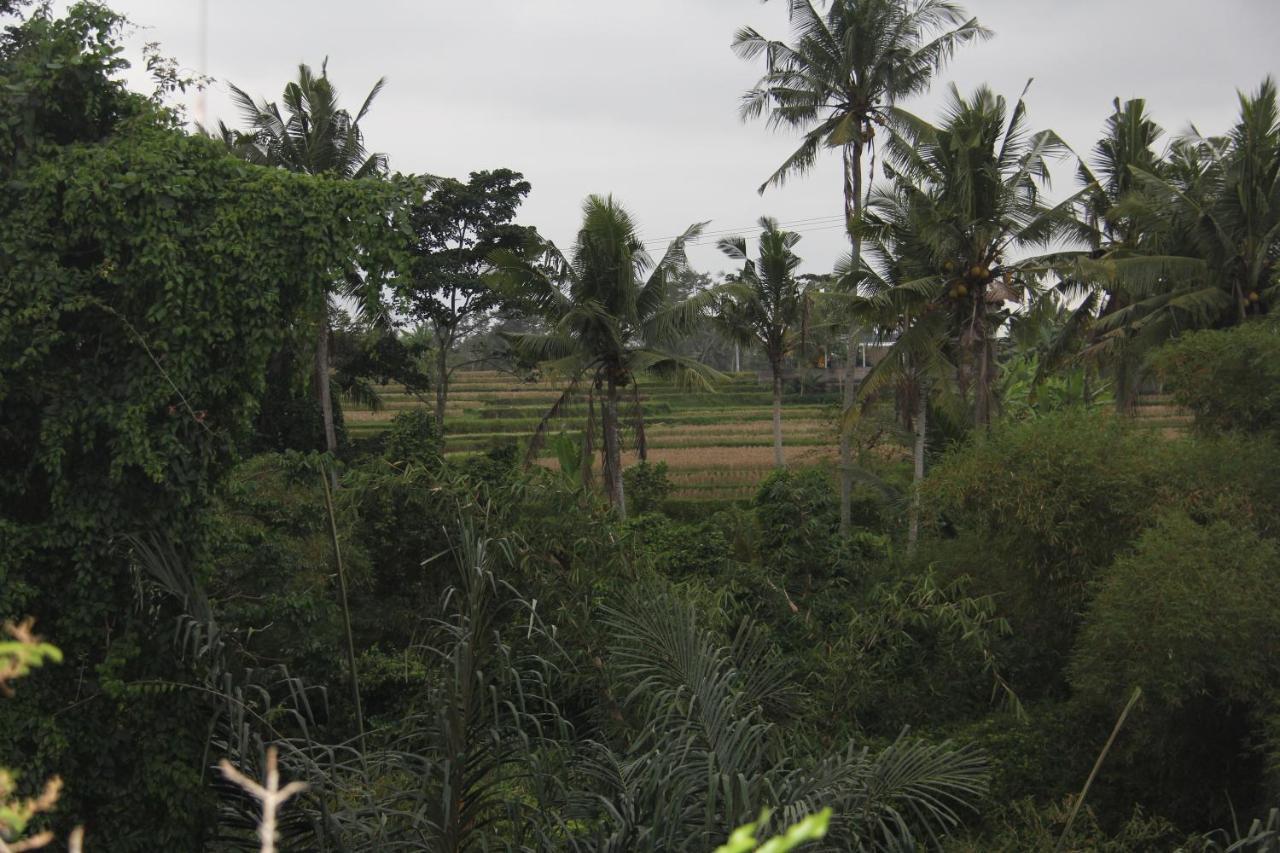 Ogek Home Stay Ubud Extérieur photo